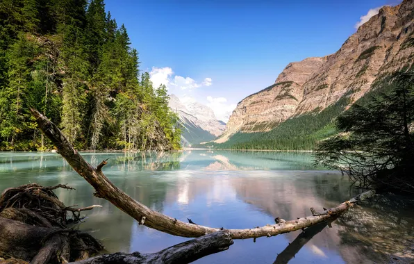 Облака, деревья, горы, отражение, скалы, Канада, Canada, отражение в воде