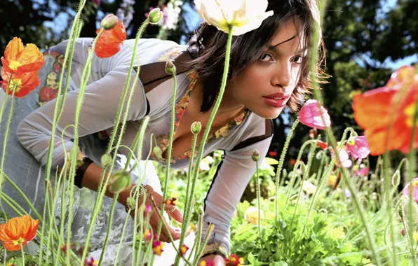 Brunette, Rosario Dawson, Flowers, Gardening