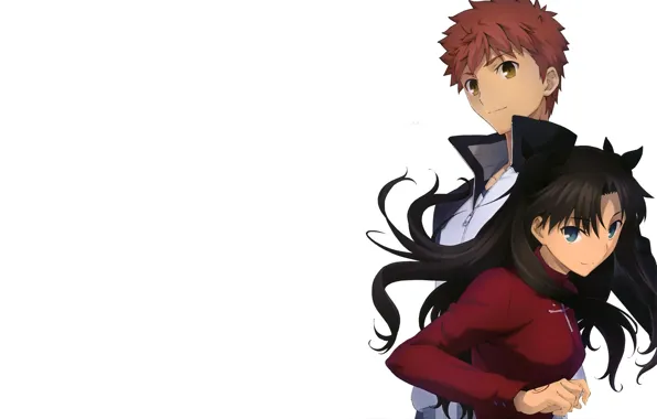 Тосака Рин, Эмия Широ, Судьба ночь схватки, Fate / Stay Night