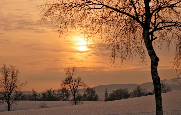 Картинка зима, деревья, закат