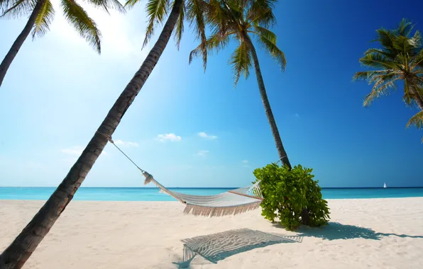 Картинка beaches, boat, white sand, green plant, Palm trees, Hammock