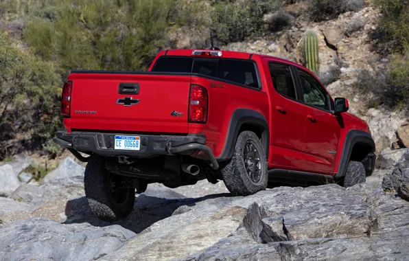 Красный, камни, Chevrolet, кузов, пикап, Colorado, 2019, ZR2 Bison