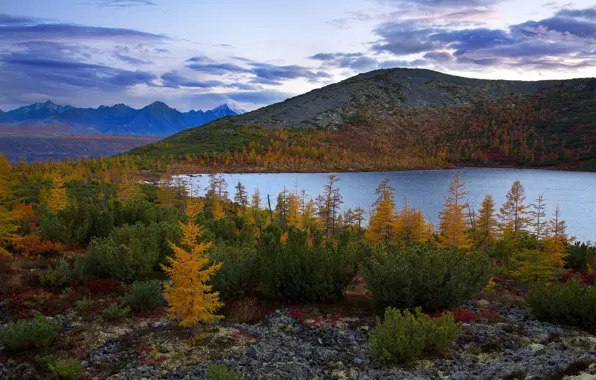 Картинка осень, пейзаж, горы, природа, растительность, Колыма, озеро Джека Лондона