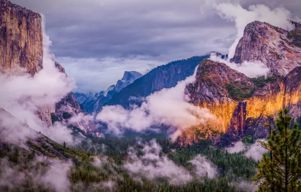 Картинка лес, облака, горы, природа, США, национальный парк, Yosemite national park, Йосе́митский национальный парк