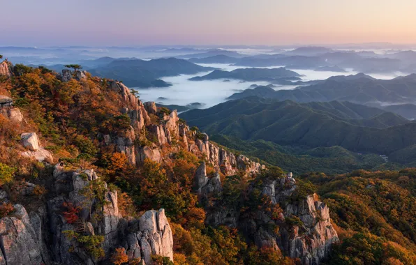 Картинка forest, landscape, South Korea, rocks, fog, hills, Daejeon, Nathaniel Merz