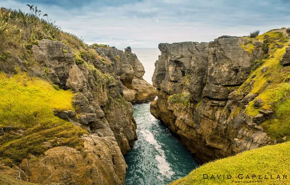 Картинка пейзаж, природа, река, океан, скалы, New Zealand, David Capellari