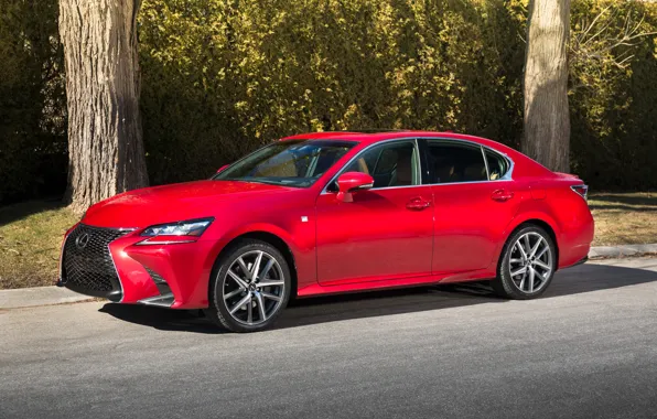 Деревья, Lexus, GS 350, 2016, AWD F-Sport