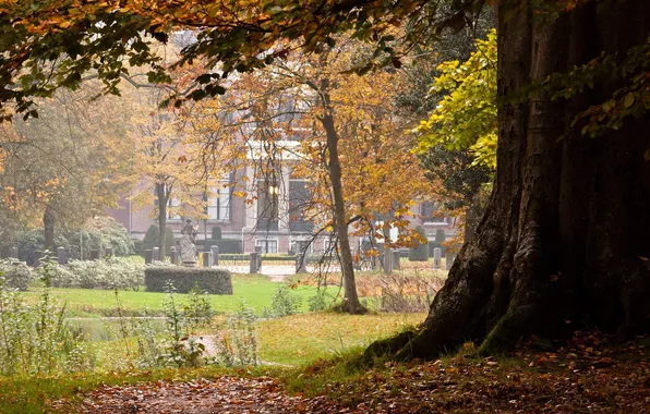 Картинка осень, природа, пруд, дерево, обои, листва, памятник, wallpaper