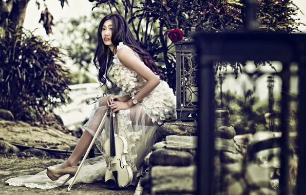 Девушка, музыка, скрипка