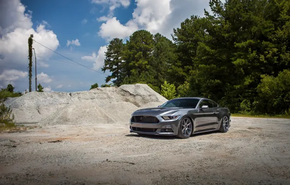 Mustang, Ford, Steel, 2015