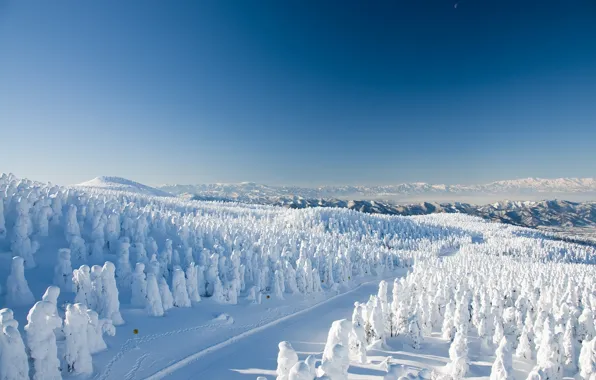 Картинка зима, дорога, лес, снег, деревья, горы, Япония, Japan