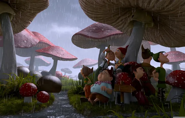 Картинка дождь, грибы, мультфильм, мухоморы, гномы, приключение, 7-ой гном, Der 7bte Zwerg