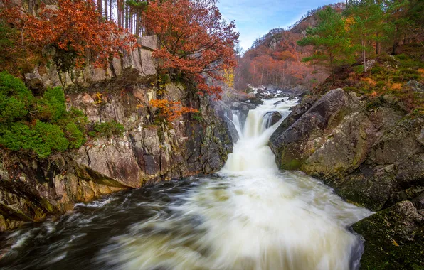 Картинка осень, лес, деревья, река, скалы, водопад, поток