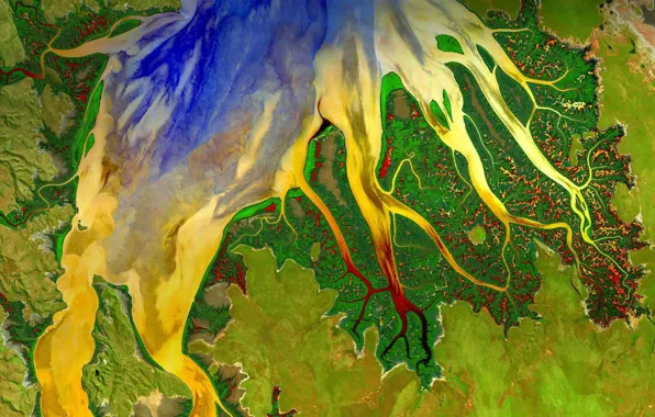 Река, краски, вид со спутника, Западная Австралия, устье, Cambridge Gulf