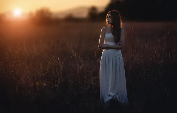 Картинка поле, девушка, закат