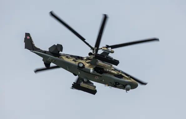 Вертолёт, российский, Ка-52, ударный, «Аллигатор»
