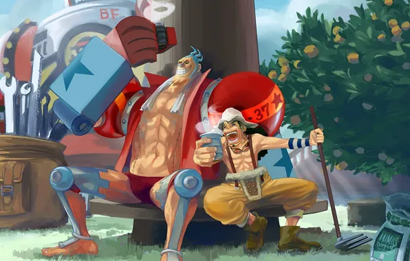 Logo, grass, game, robot, One Piece, pirate, anime, orange