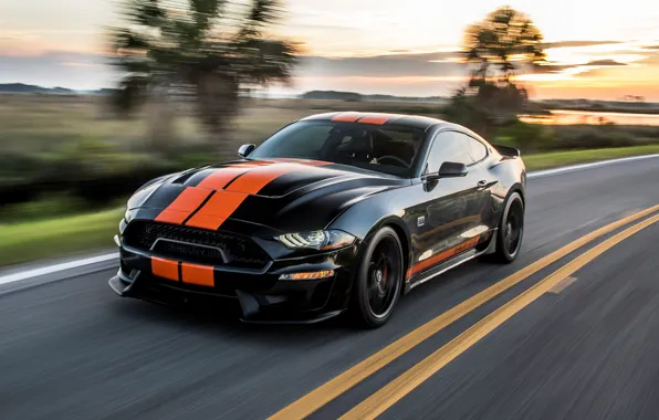 Закат, скорость, Mustang, Ford, Shelby, GT-S, 2019