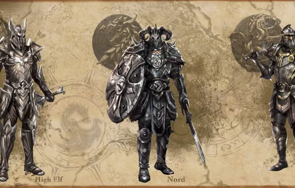 Картинка оружие, эльф, мечи, воины, эмблемы, The Elder Scrolls, TES, свитки
