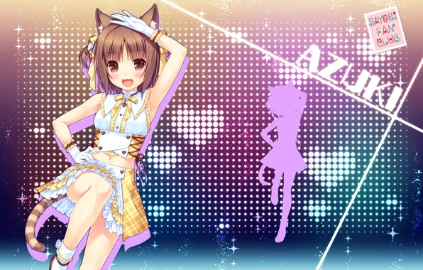 Girl, sexy, Anime, blouse, brown hair, brown eyes, tail, beautiful