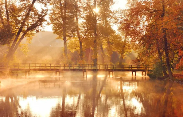 Картинка лес, мост, туман, река, фото, рассвет, утро