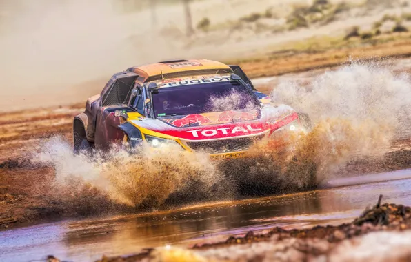 Вода, Авто, Спорт, Машина, Скорость, Гонка, Грязь, Peugeot