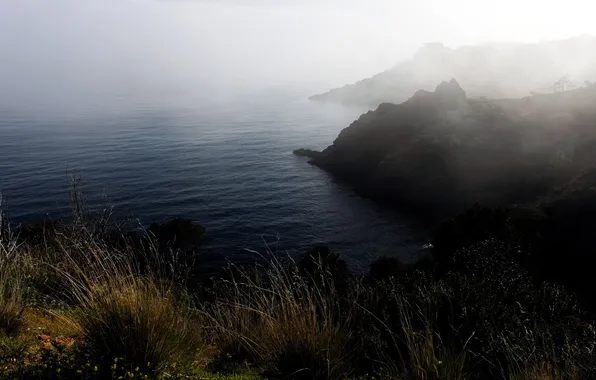 Картинка море, трава, туман, берег