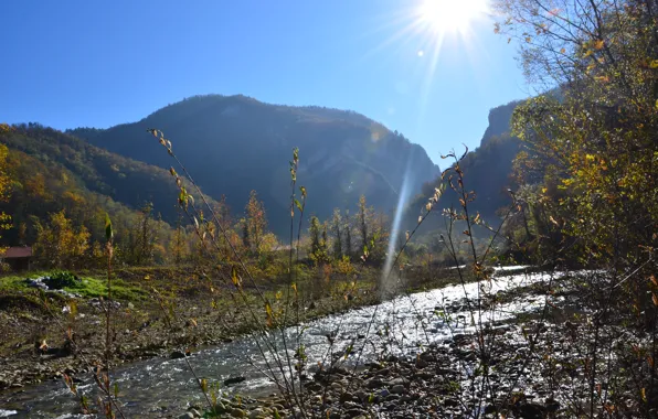 River, animals, nature, water, mountains, doga