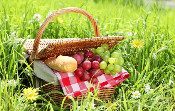 Картинка лето, трава, корзина, ромашки, хлеб, виноград, пикник, батон