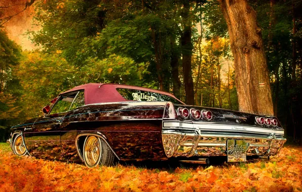 Авто, осень, природа, блеск, Chevrolet