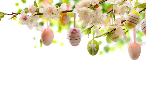 Цветы, яйца, Пасха, flowers, Easter, eggs