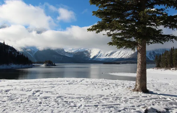 Картинка зима, небо, облака, снег, деревья, горы, озеро, остров