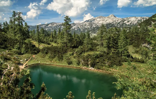 Картинка лес, горы, озеро, Австрия, Альпы, Austria, Alps, Штирия