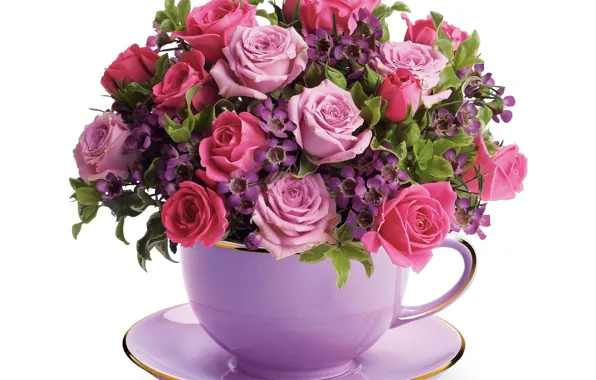 Розы, букет, Roses, Cup, Bouquets