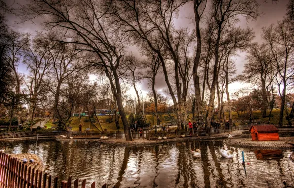 Осень, деревья, пруд, фото, обработка, Nature, trees, Стамбул