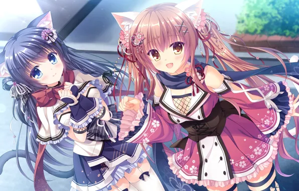 Takano yuki, neko-nin exheart, fuuma yura, fuuma tama