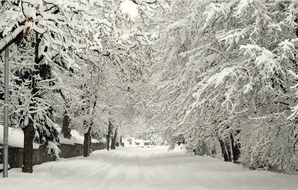 Зима, Дорога, Деревья, Снег, Улица, Мороз, Winter, Frost