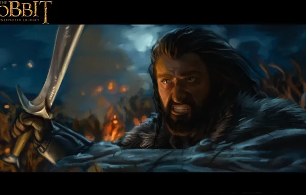 Dwarf, Richard Armitage, Peter Jackson, The Hobbit: An Unexpected Journey, Хоббит: Нежданное путешествие, Warner Bros. …