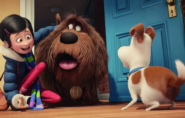 Cinema, wallpaper, house, happy, dog, cartoon, movie, full hd