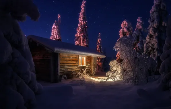 Snow trees, Winter night, Звездное небо, Starry sky, Зимняя ночь, Снежные деревья, House in the …