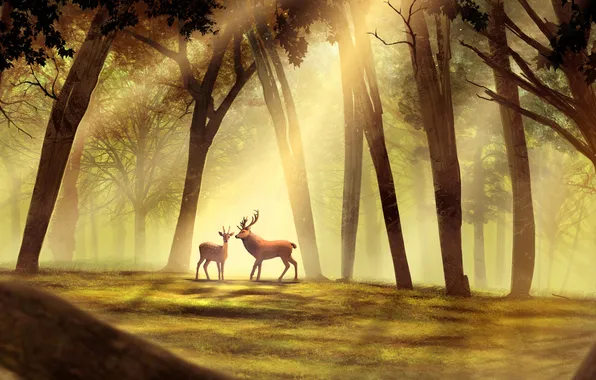 Картинка лес, деревья, олень, арт, рога, косуля, солнечные лучи
