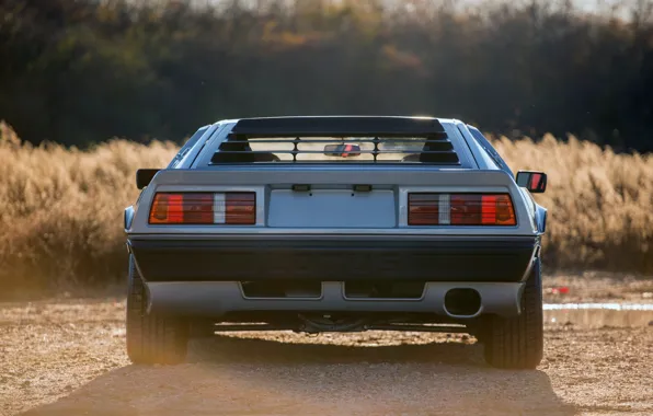 Lotus, Esprit, rear view, Lotus Esprit Turbo