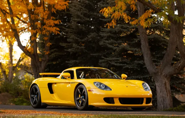 Porsche, yellow, Porsche Carrera GT