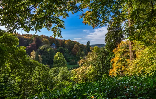 Осень, деревья, озеро, Англия, Стурхед, England, Wiltshire, Stourhead Garden