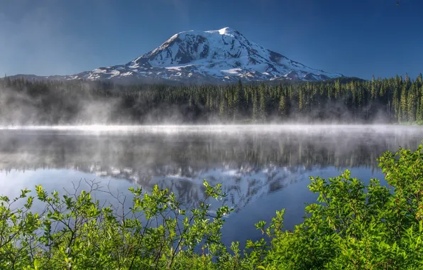 Картинка лес, озеро, отражение, гора, утро, вулкан, Вашингтон, кусты