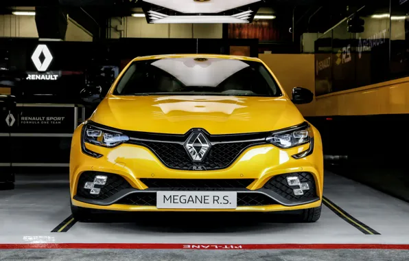 Renault, вид спереди, хэтчбек, 2018, Trophy, Megane RS