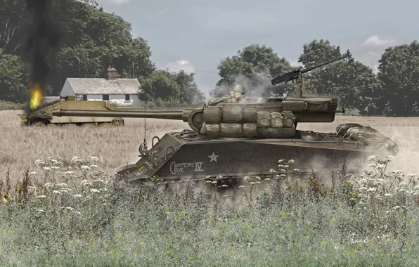 США, САУ, Истребитель танков, Бронетехника, М36