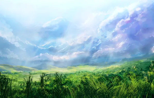 Картинка поле, небо, трава, свет, alexlinde (devart)