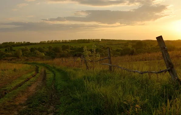 Картинка дорога, поле, пейзаж, закат, природа, забор