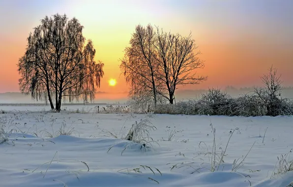 Зима, солнце, природа, восход